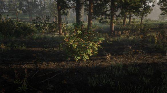 Ежевика в RDR Online