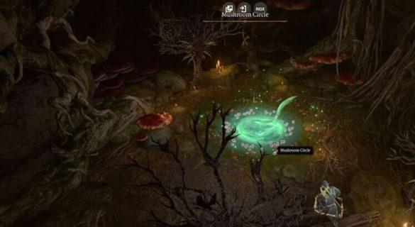 Грибной круг в в Baldur's Gate 3